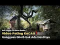 Download Lagu SEREM BANGET..BANYAK ISTIGHFAR MENUJU RUMAH DI TENGAH HUTAN BAMBU