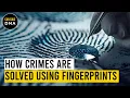 How Crimes are solved using Finger Prints Finger Print Analysis Forensic Science