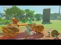 Korok Seed 20-21 Exchange Ruins The Legend of Zelda Tears of the Kingdom