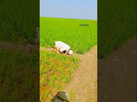 নামাজ দেখে কেউ অবহেলা করবেন না।