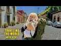 The Reality of Traveling With a Cat Is it Worth It