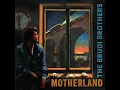 Motherland - The Brudi Brothers