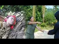 Download Lagu Poor Girl Faints in the Forest, Her Cruel Stepmother Sells Her for Money