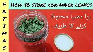 Download How to store coriander leaves | Tips and tricks | Fatima's kitchen by sweet sisters MP3