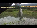 Lagu MANCING WADUK GAJAH MUNGKUR SPOT DLOSOR KEDALAMAN SETEGAH JENGKAL, GROBOG #fishing #mancing #fish