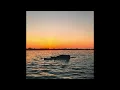 Disclosure - The Sun Comes Up Tremendous (Extended Mix)