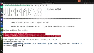 NAISS Intro to HPC Python Day 1 Using the Python interpreter for Pelle