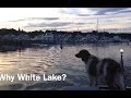 Why White Lake