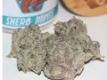 Strain Tasters Cannabis Reviews - Sherb Mints