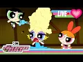 LIVE EVERY Episode of Season 1 Powerpuff Girls 2016 Reboot Marathon Cartoon Network