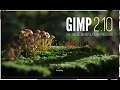 flower gifs