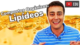Lipídeos | Compostos Orgânicos | Prof. Paulo Jubilut