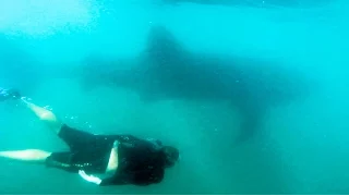 EP.17 Sailing Vessel Prism; La Paz, Land of the Peaceful Sharks