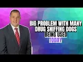 Big Problem With Many Drug Sniffing Dogs Being Used Today