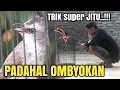 Download Lagu TRUCUK OMBYOKAN Jadi Super Garang || part #3