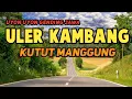 Download Lagu UYON UYON GENDING JAWA KLASIK ULER KAMBANG KUTUT MANGGUNG NYAMLENG • GENDING JAWA KUNO LEGEND