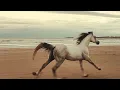CamelPhat x Eli & Fur - Waiting (Eli & Fur’s Found Version)