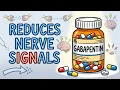 Gabapentin Nerve Pain How It REALLY Works And Why So Many People Are On It