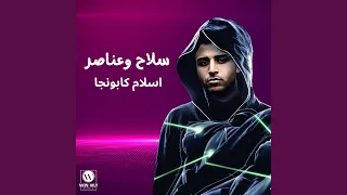 سلاح وعناصر  سلاح وعناصر