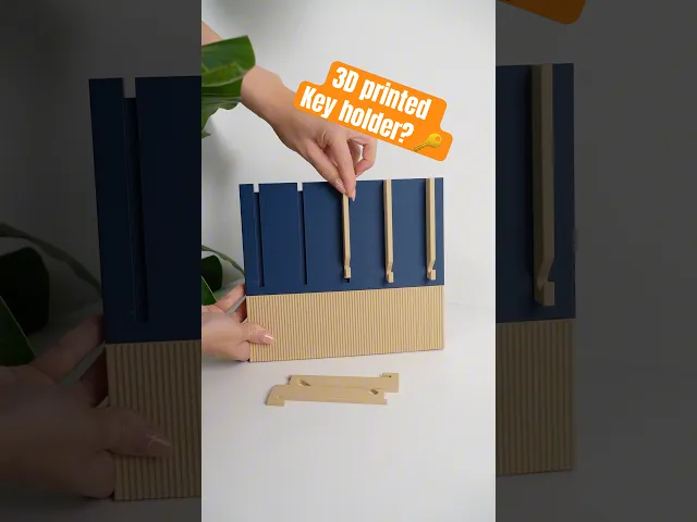 PIANIS Minimalist Wall Key Holder video thumbnail