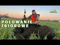 Lagu Polowanie zbiorowe cz 2 Driven Hunt in Poland