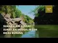 Lagu Suara Alam Sungai Suara air mengalir dan kicau burung