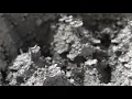 Enrico Sangiuliano - Hidden T (HARDROME MiX x drumcode)