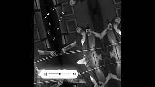 موسيقة بعد مؤقت العازفة دينا جابر تامر حسني ترند لايك اشتراك 