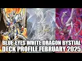 BLUE-EYES WHITE DRAGON BYSTIAL DECK PROFILE FEBRUARY 2025 YU-GI-OH