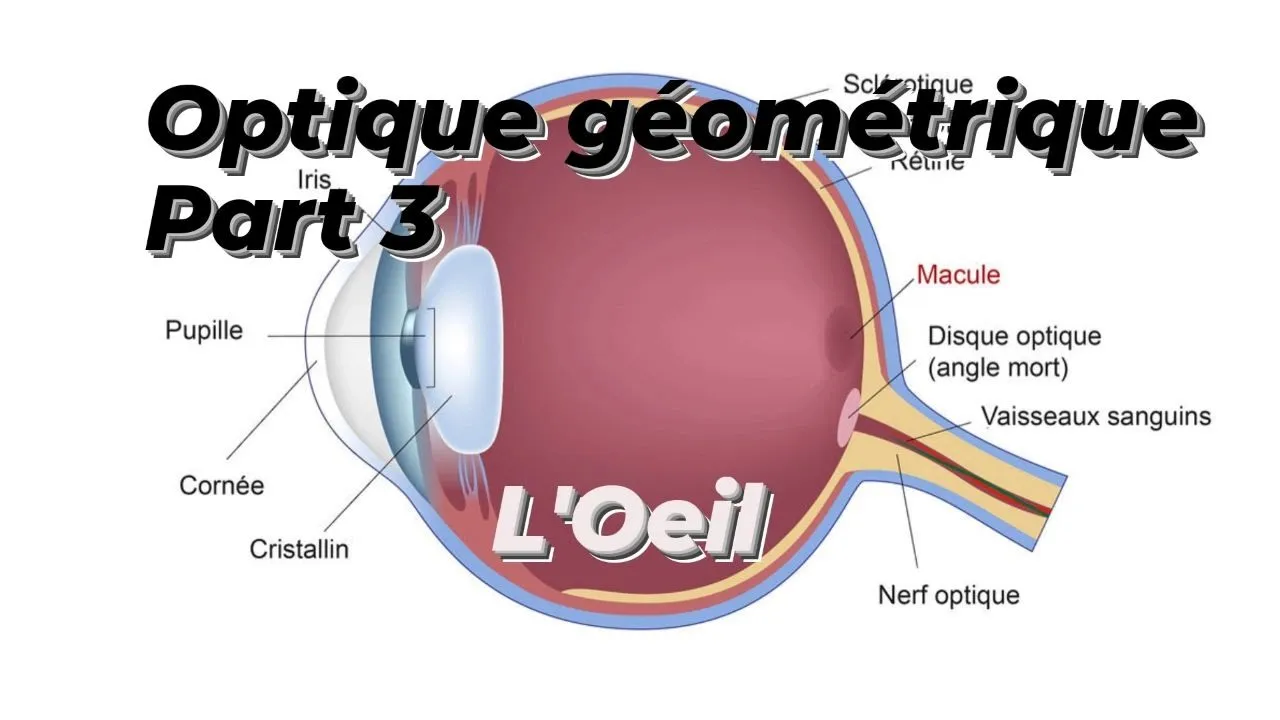 OPTIQUE PART 3 : L'OEIL