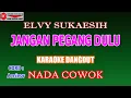 Download Lagu KARAOKE DANGDUT JANGAN PEGANG DULU - ELVY SUKAESIH (COVER) NADA COWOK