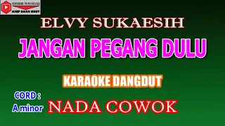 Download KARAOKE DANGDUT JANGAN PEGANG DULU - ELVY SUKAESIH (COVER) NADA COWOK MP3