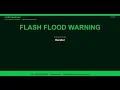 Flash Flood Warning - Decatur