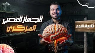 الجهاز العصبي المركزي أحياء تانية ثانوي المحاضرة قبل الأخيرة 
