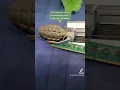 Always check your RAM