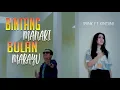 Lagu Ipank Feat Kintani Bintang Manari Bulan Marayu 2019