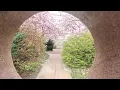 The Moongate Garden Washington DC
