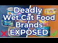 10 Wet Cat Food Brands To AVOID At All COSTS And A Few That Are Safe
