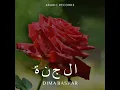 الجنة