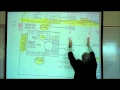 PHYSIOLOGY CELLULAR RESPIRATION PART 1 by Professor Fink