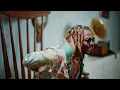 Asake - Sungba (Remix) (Official Video) ft. Burna Boy
