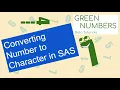 Converting Numeric to Character in SAS Data Tutorial PUT Function