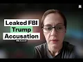 The leaked Jane Doe 4 FBI Notes