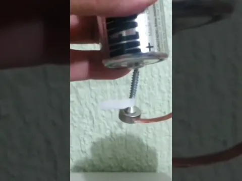 Motor Homopolar