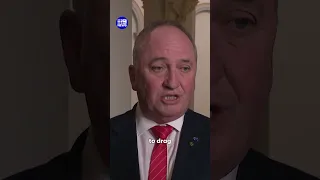 Is One Nation really the gayest party in Australia 9 News Australia