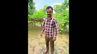 Village time vlog