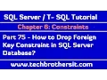 How to Drop Foreign Key Constraint in SQL Server Database - SQL Server TSQL Tutorial Part 75