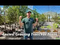 Fastest Growing Trees For Texas