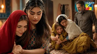 Hurmat New Episode | BEST SCENE | #dananeermubeen #hurmat #shahveerjaffery