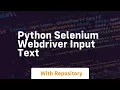 python selenium webdriver input text
